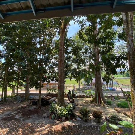 Homestay Dusun Ana Balun نهر سليم المظهر الخارجي الصورة